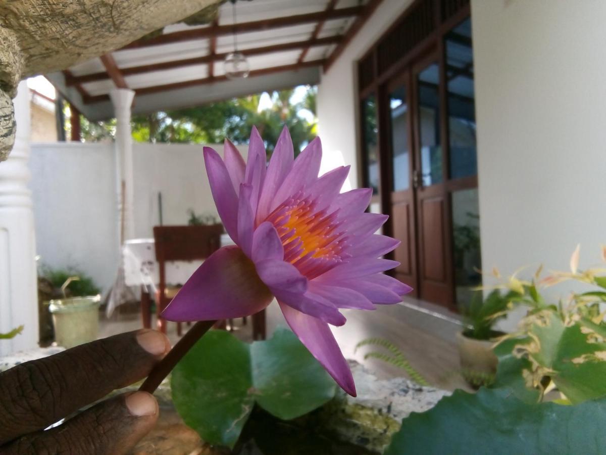 Sisila Villa Bentota Ngoại thất bức ảnh